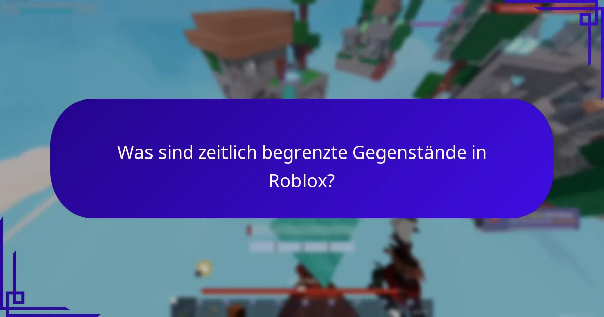 Was sind zeitlich begrenzte Gegenstände in Roblox?