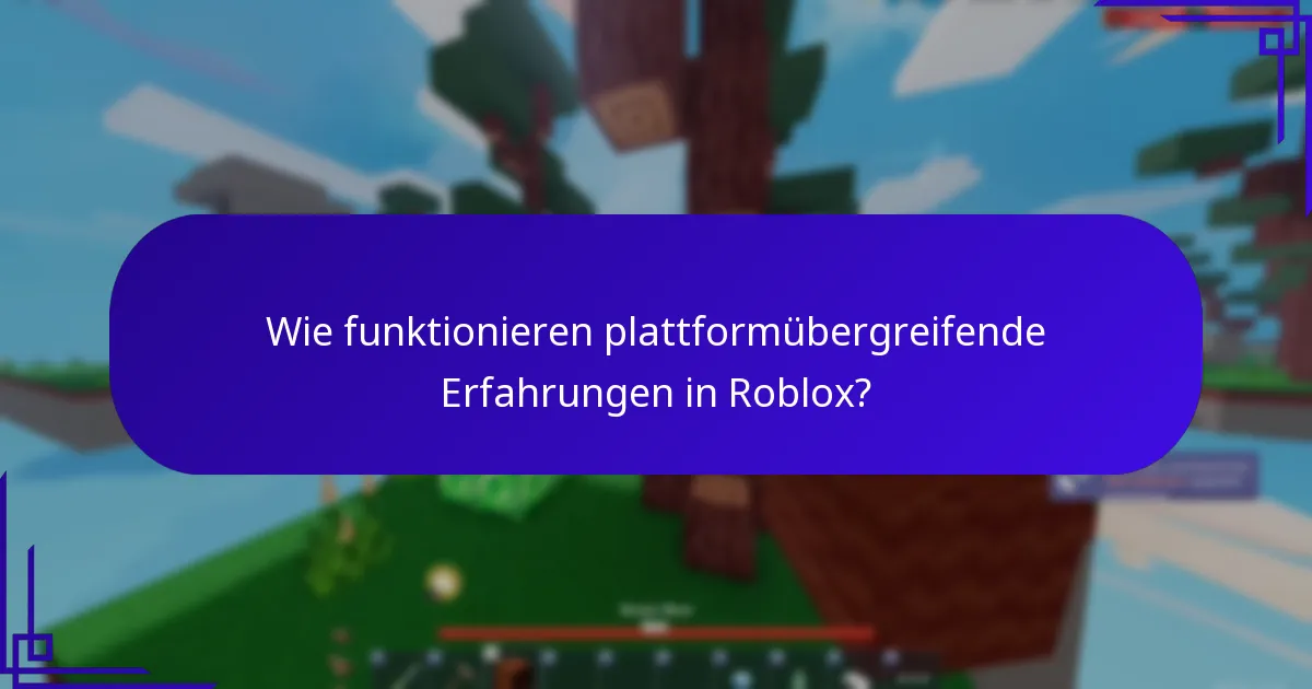 Wie funktionieren plattformübergreifende Erfahrungen in Roblox?